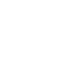 Cheap and Chic